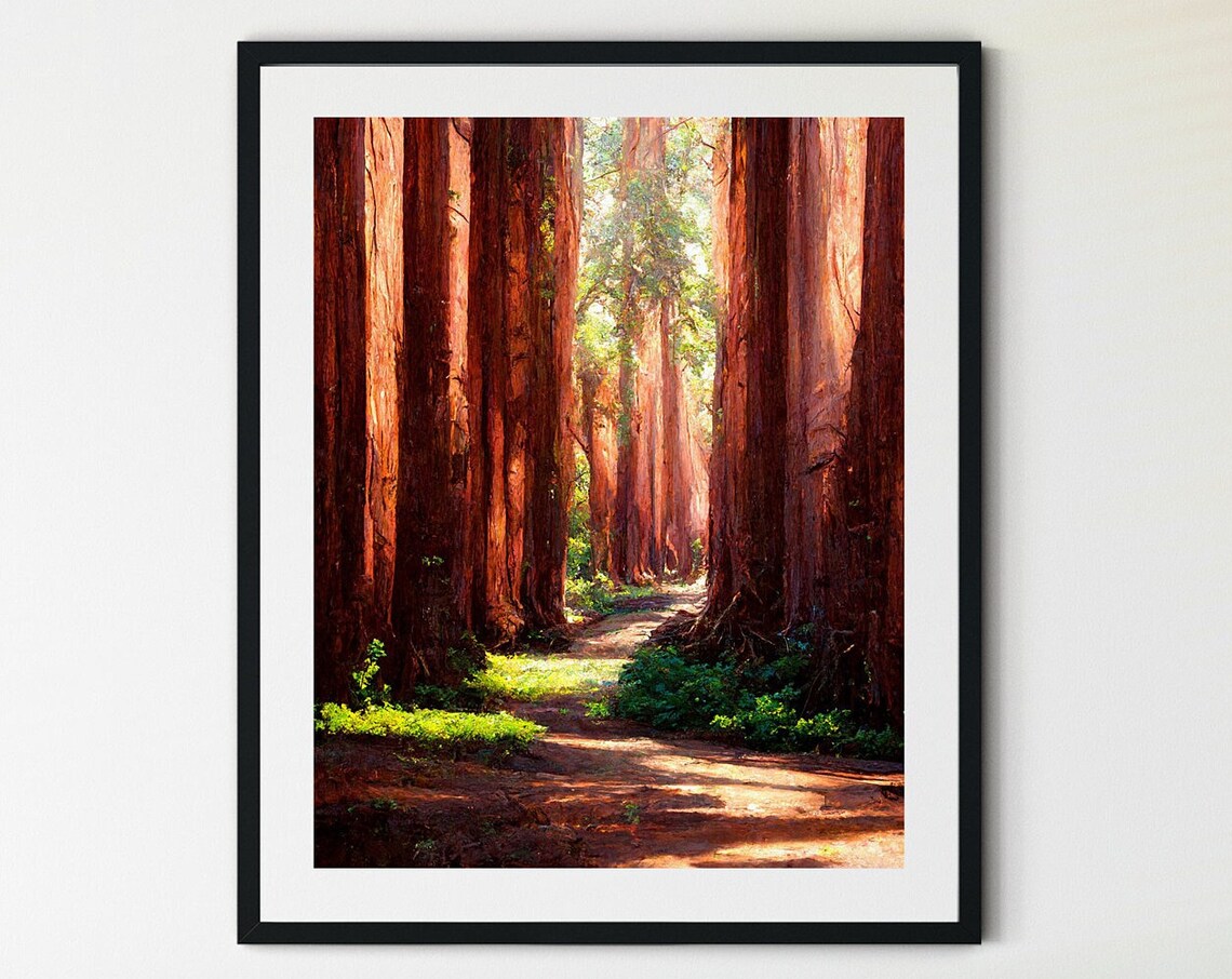 Redwood National Park Vintage Travel Poster
