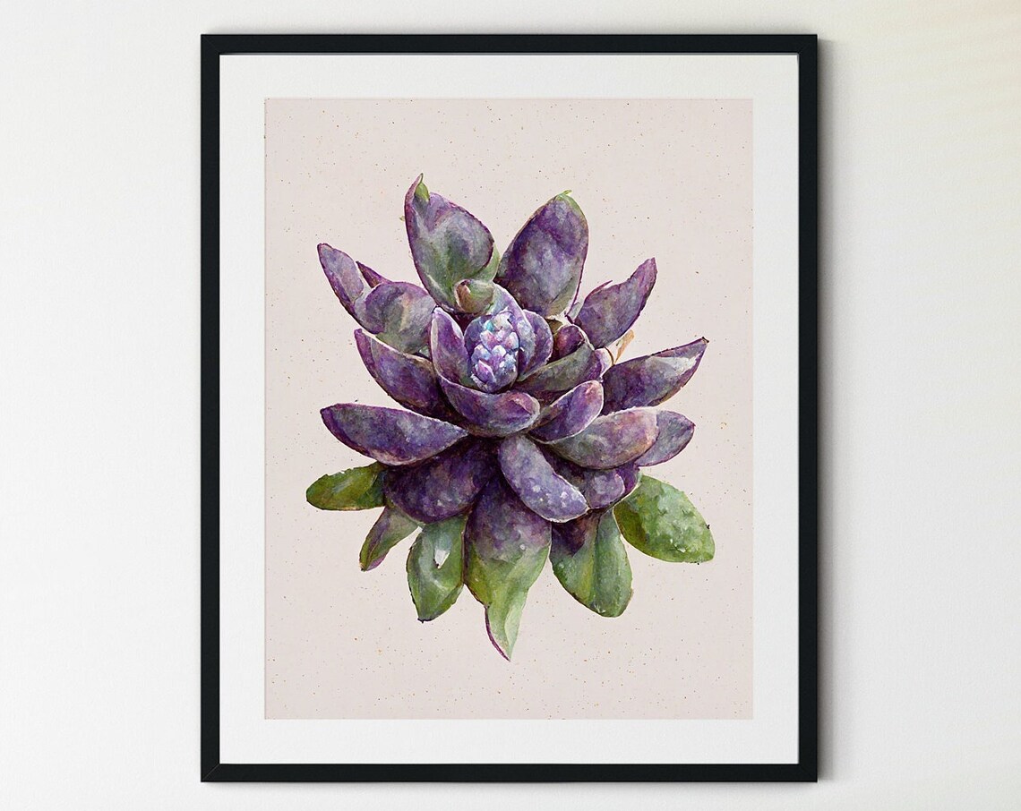 Purple Succulent Plant Watercolor Botanical Illustration Art Poster