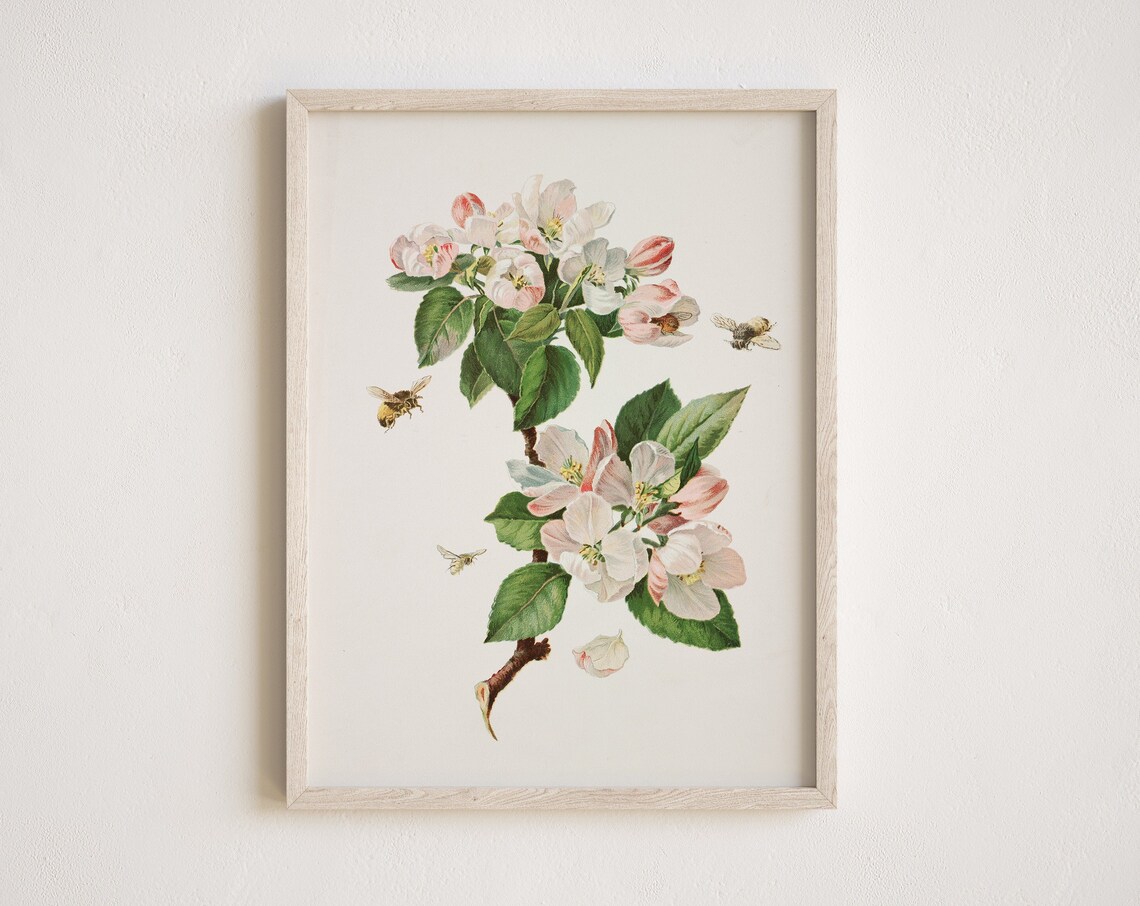 Vintage Apple Blossom Painting, Rustic Flower Art Print