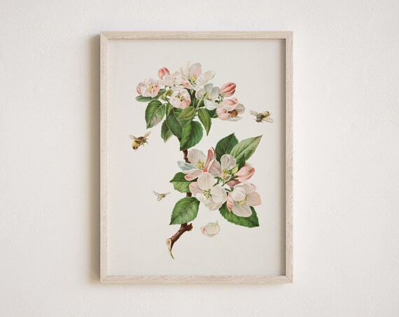 Vintage Apple Blossom Painting, Rustic Flower Art Print