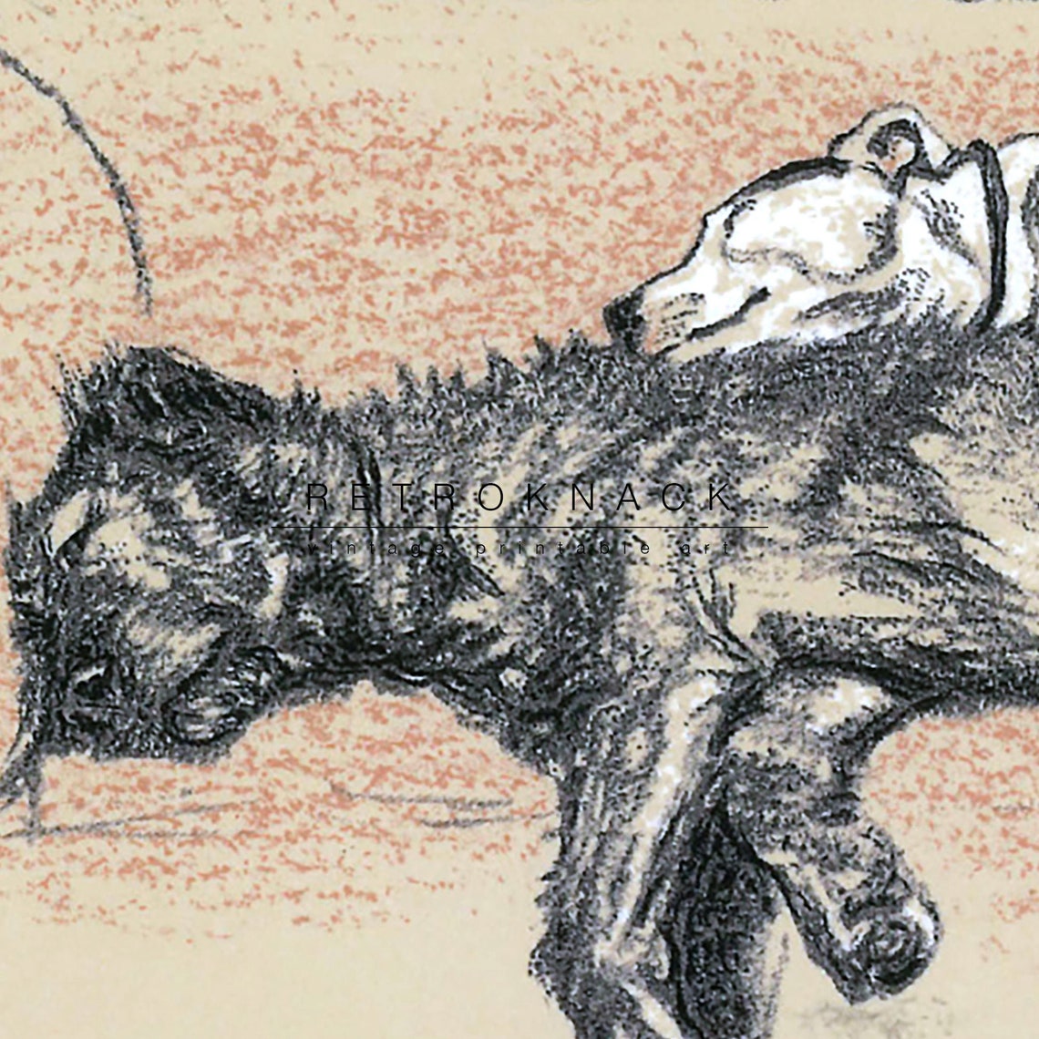 Cecil Aldin Sleeping Partners Dogs on Sofa Vintage Sketch Art Print - Image 3