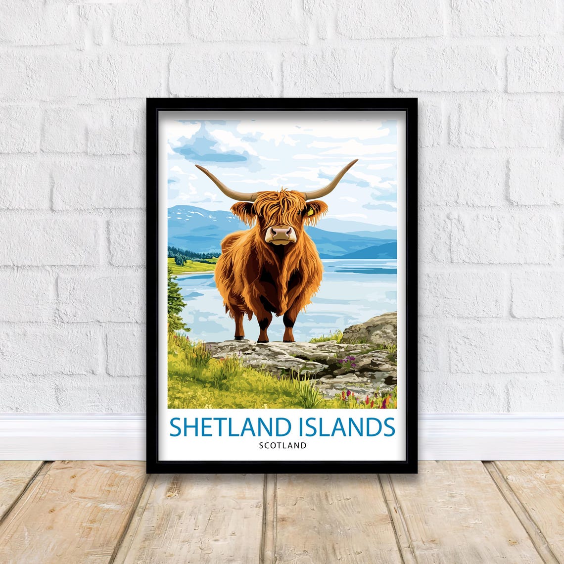 Shetland Islands Scotland Highland Cow Scenic Travel Art Poster