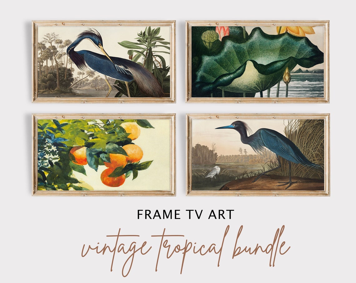 Tv Art Vintage Tv Art Tropical Frame Tv Art Vintage Bird Tv Art Vintage Botanical Tv Art Large Art Living Room Decor
