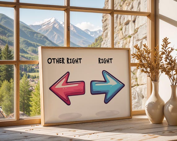 Right And Other Right, Funny Poster