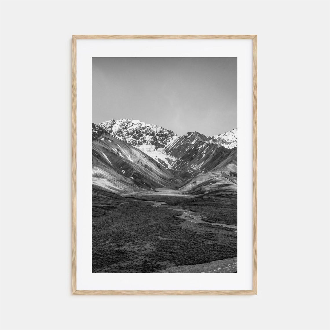 Denali Alaska Snow Capped Peaks Tundra Valley Black and White Poster
