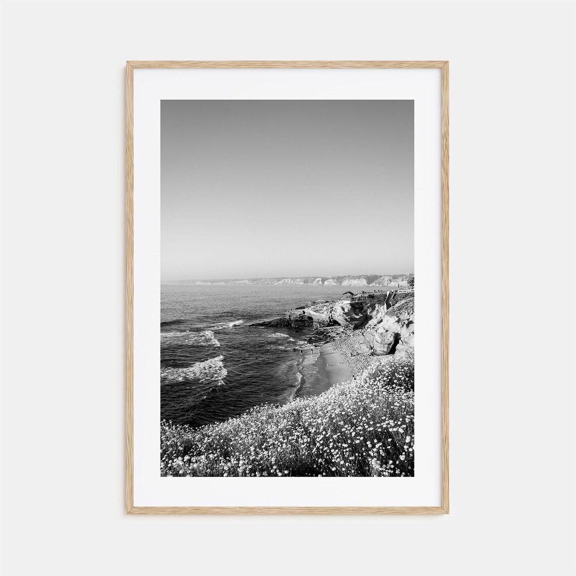 La Jolla California Coastal Cliffs Wildflowers Black and White Poster