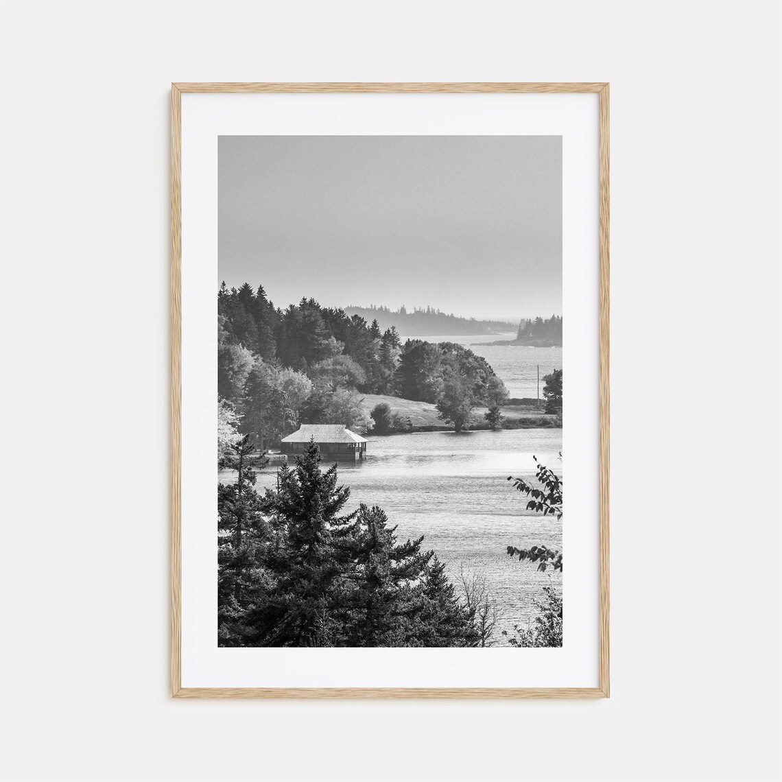 Acadia National Park Rocky Coast Boathouse Pines Maine Black White Poster