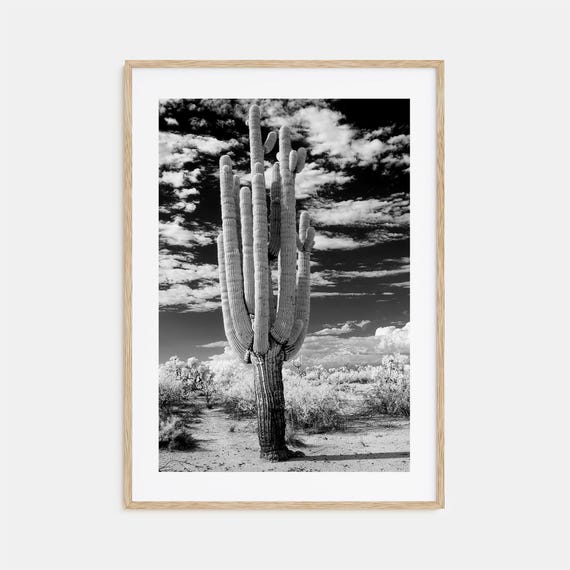 Arizona Black And White Travel Poster, Map Art