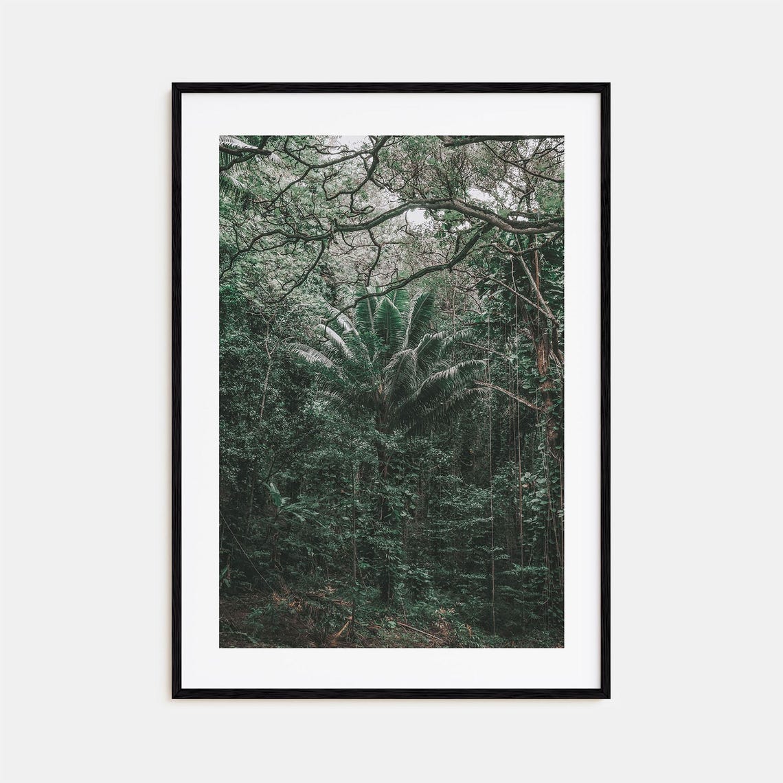 Oahu Hawaii Tropical Rainforest Canopy Lush Green Jungle Photo Poster