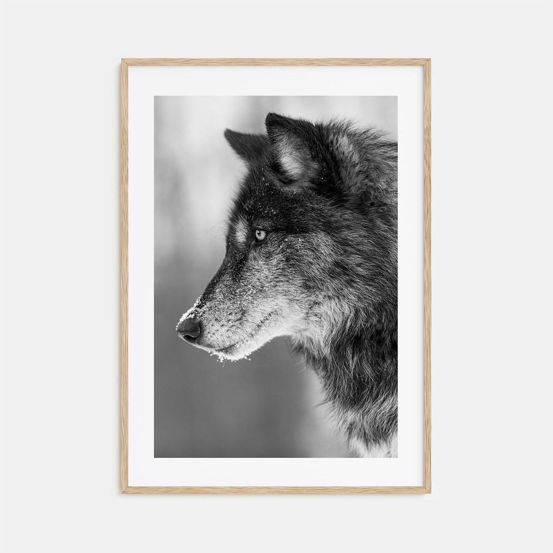 Wolf Photo Poster Print No 1 Wolf Black And White Wall Art Wolf Wall Photography Wolf Travel Wolf Map Poster