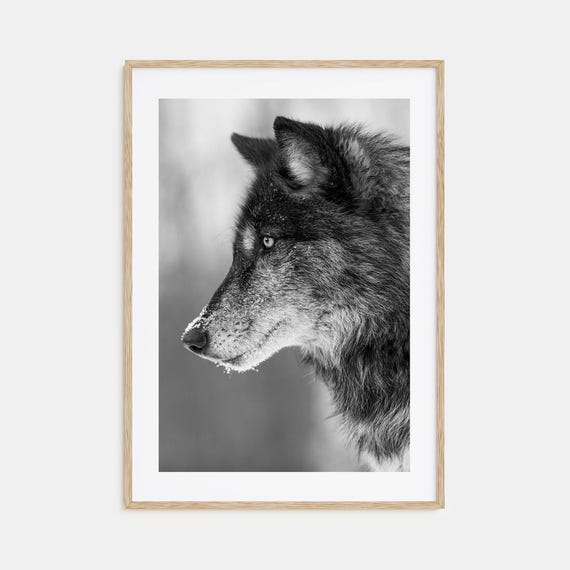 Wolf Photo Poster Print No 1 Wolf Black And White Wall Art Wolf Wall Photography Wolf Travel Wolf Map Poster
