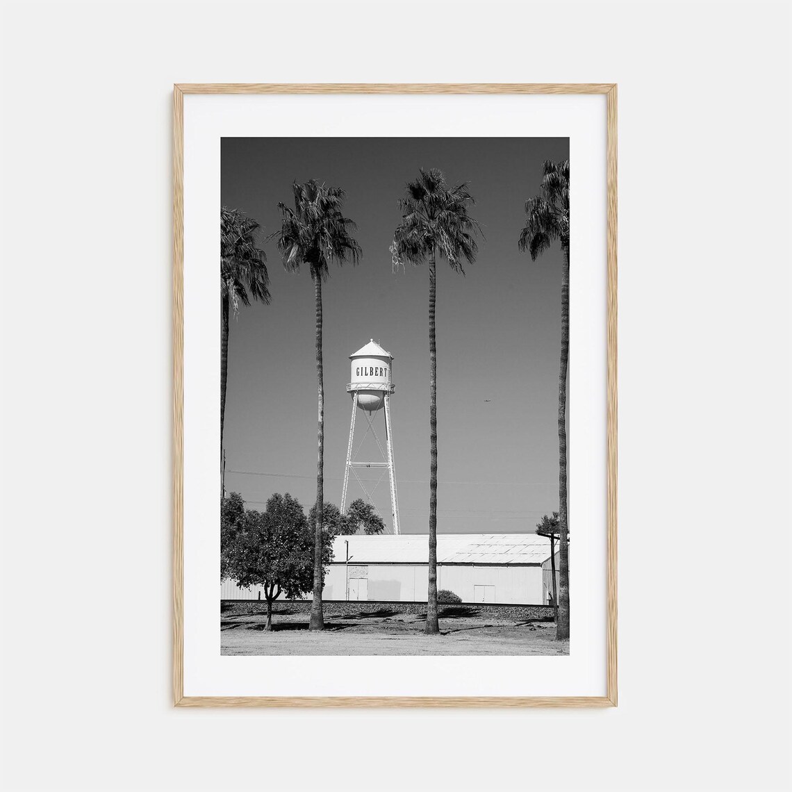 Gilbert Water Tower Palm Trees Small Town America Scene Poster