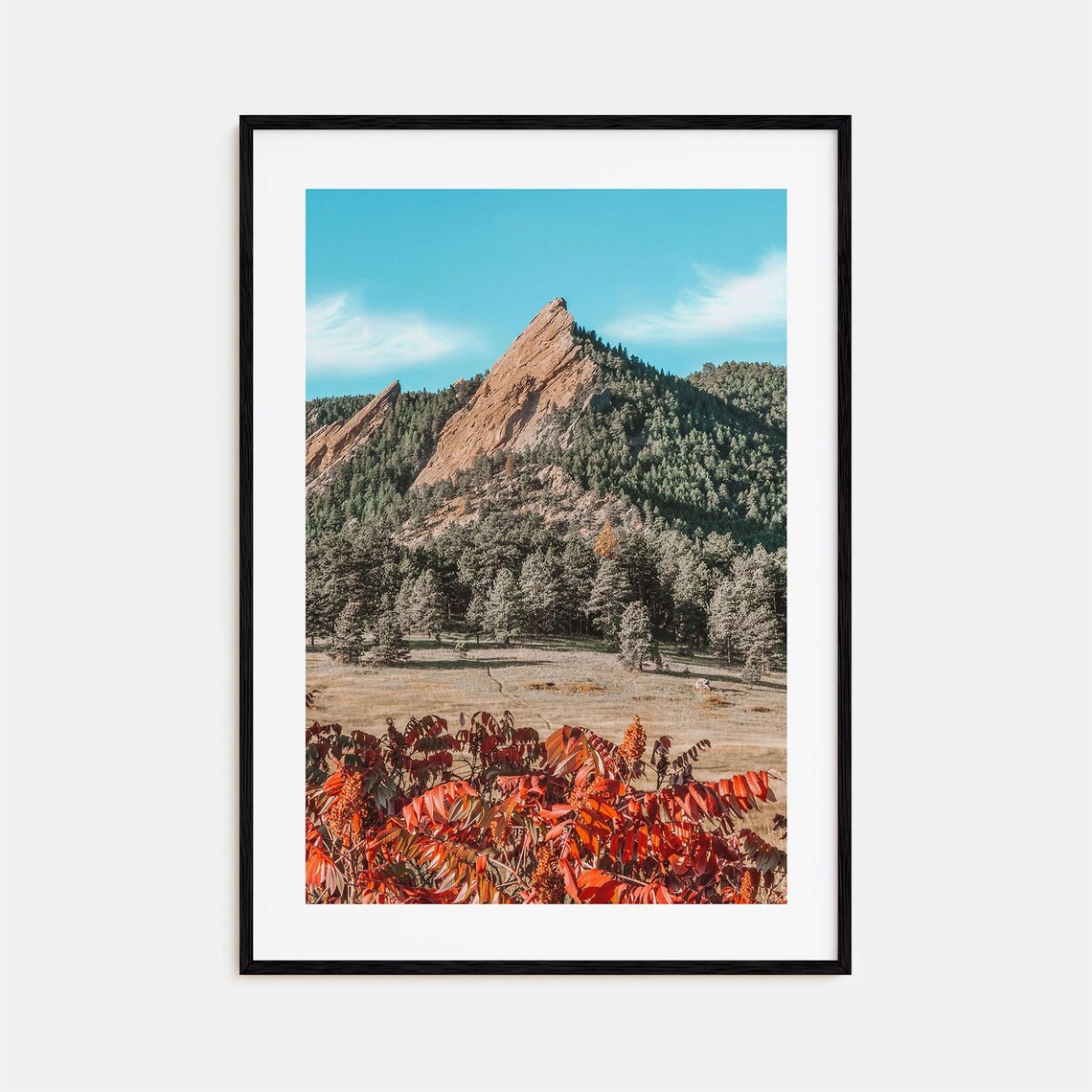 Boulder Flatirons With Flaming Red Autumn Sumac Colorado Poster