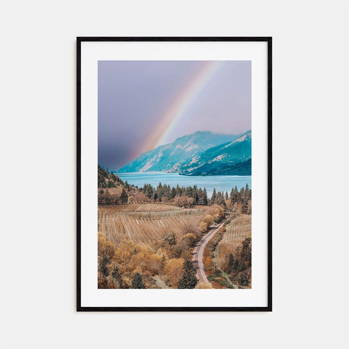 Columbia River Gorge Rainbow River Valley Vineyard Hills Poster