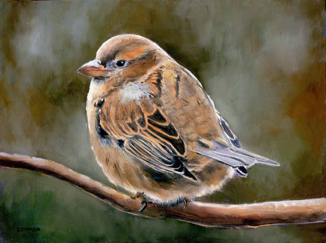 Bird Oil Painting Original Animal Painting On Wood Original Bird Art Framed Vintage Bird Painting Small Art Baby Bird Sparrow Oil Painting