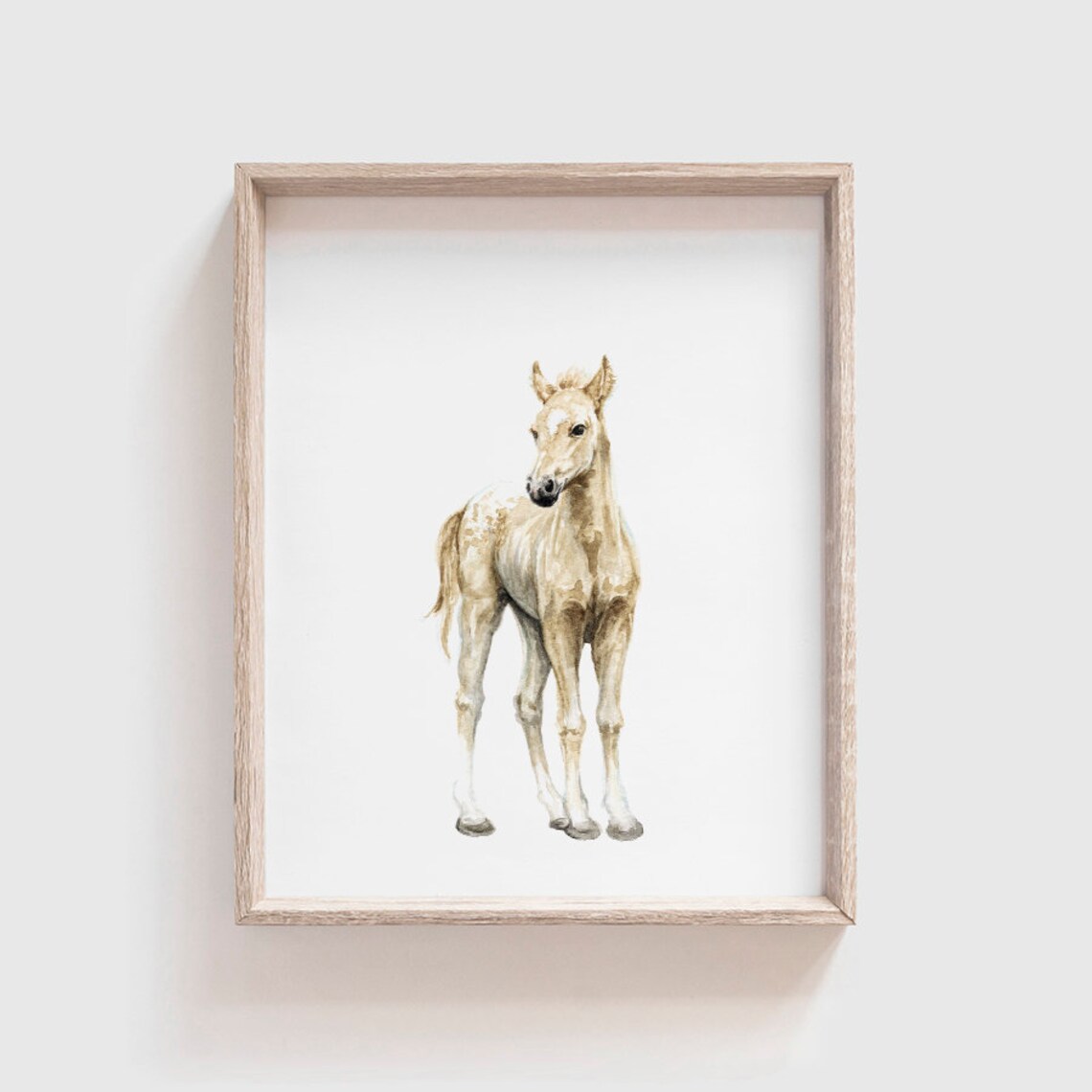 Horse No 1 Watercolor Art Print, Baby Horse