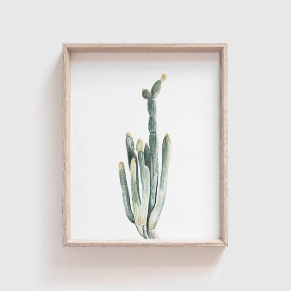 Smooth Cactus No. 3 Art Print, Southwestern Watercolor