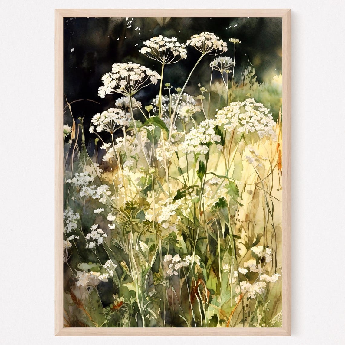 White Yarrow Wildflowers Watercolor with Dark Garden Background Print