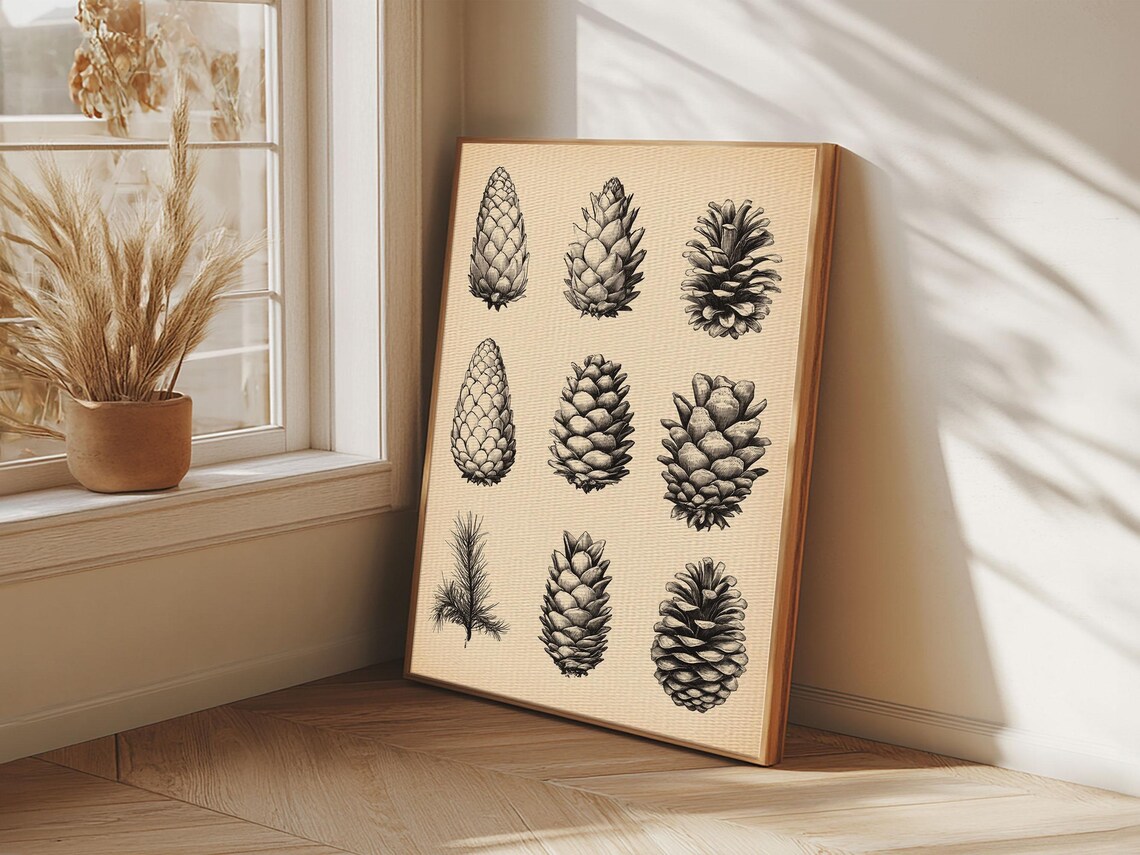 Nine Pinecones Botanical Ink Study Vintage Nature Illustration Poster - Image 5