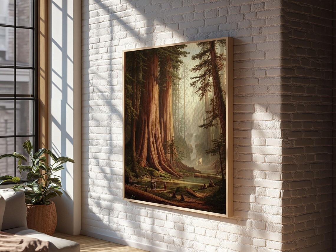 California Redwood Trees, Redwood National Park Art Print