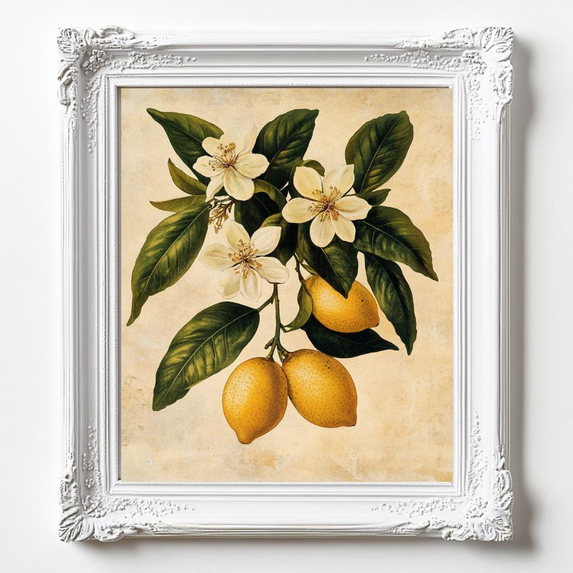 Trendy Lemon Wall Art Kitchen Decor Fruit Home Print For Your Space
