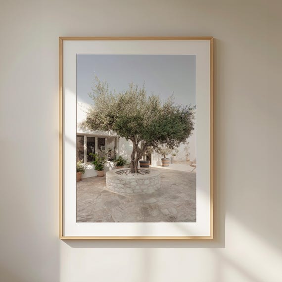 Olive Tree Print Mediterranean Art Print Tuscany Wall Art Vintage Olive Grove Print Italy Photography Neutral Wall Art Italian Village Art