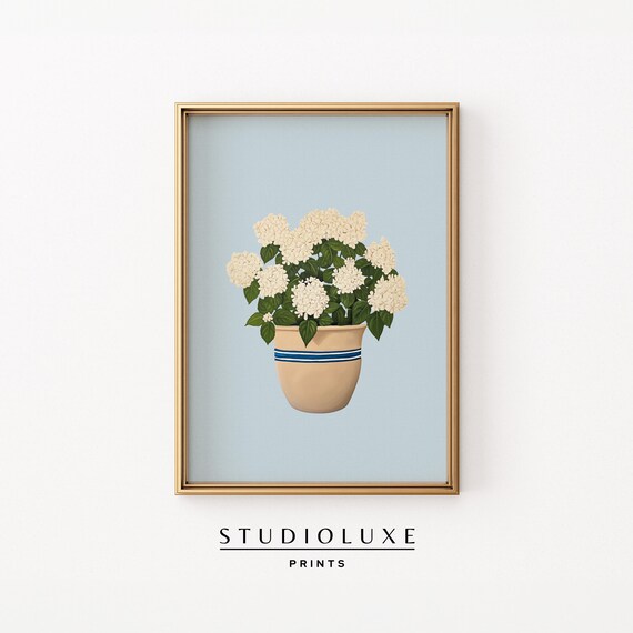 White Hydrangeas In Striped Pot On Soft Blue Background Print
