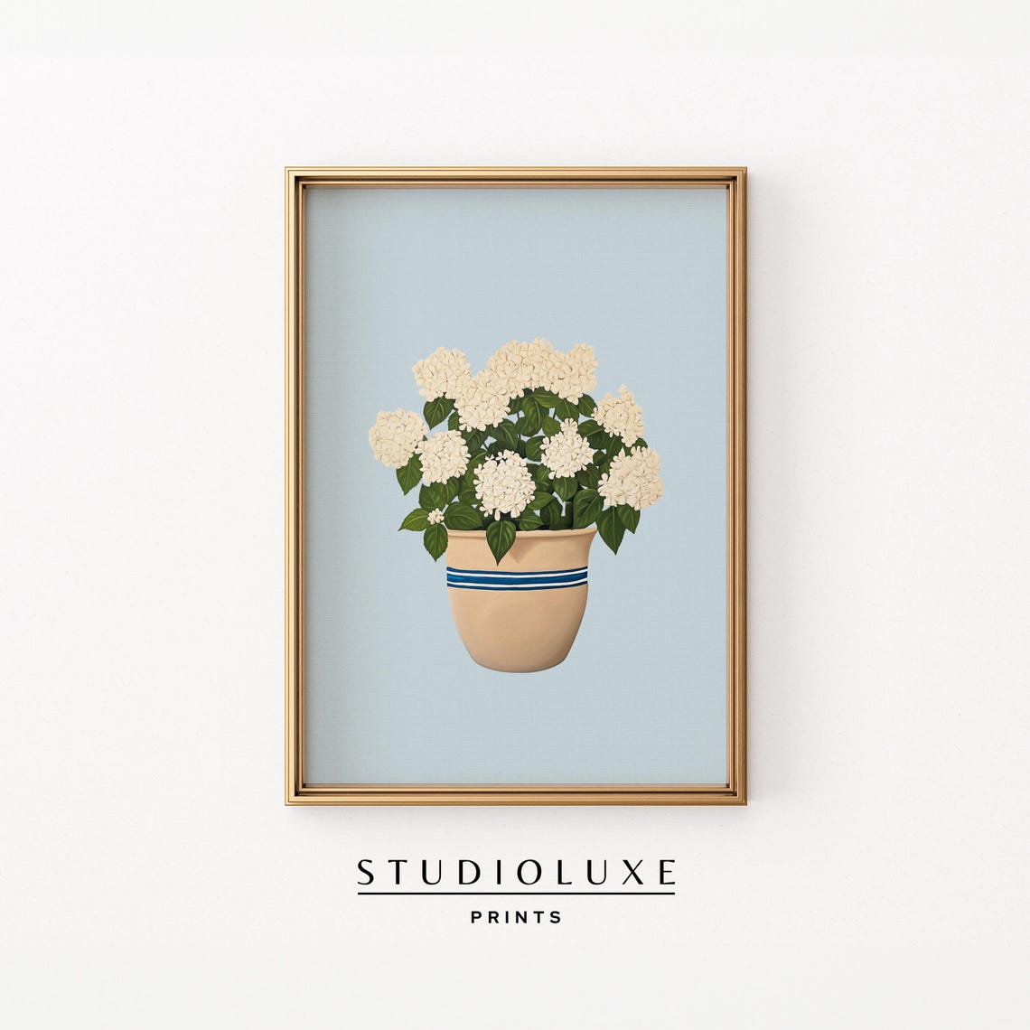 White Hydrangeas In Striped Pot On Soft Blue Background Print