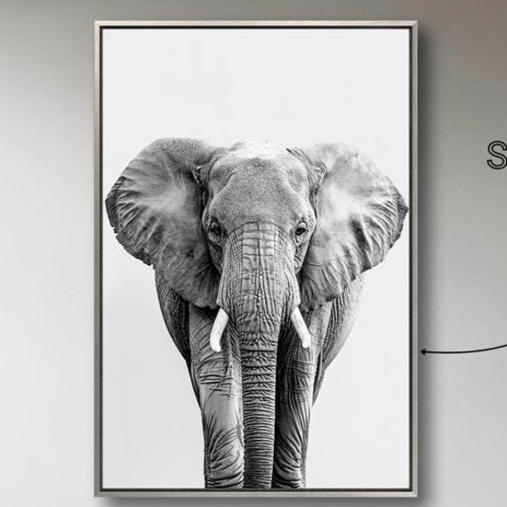 Majestic Elephant Black White Photography Wild Safari Animal Art Poster