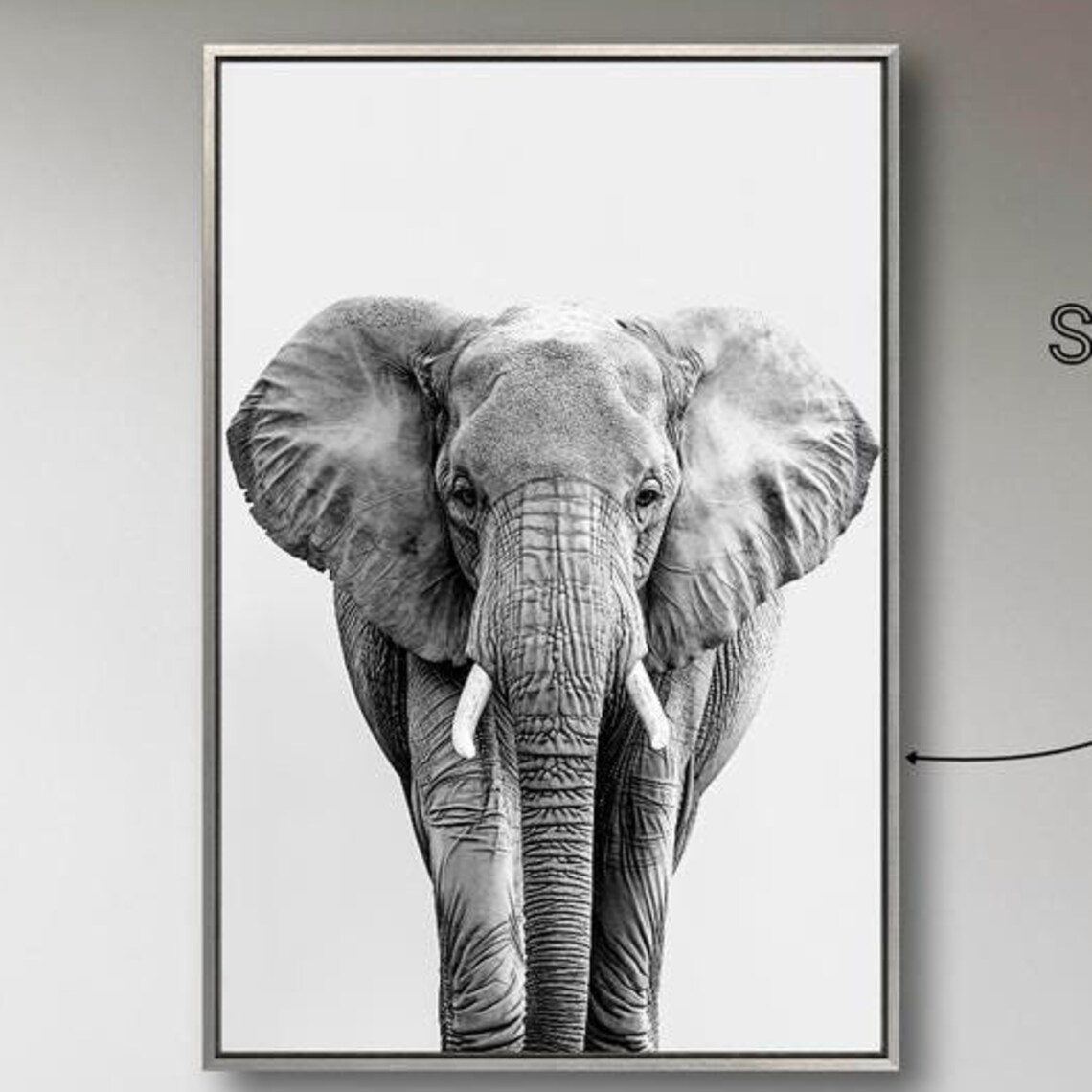 Majestic Elephant Black White Photography Wild Safari Animal Art Poster
