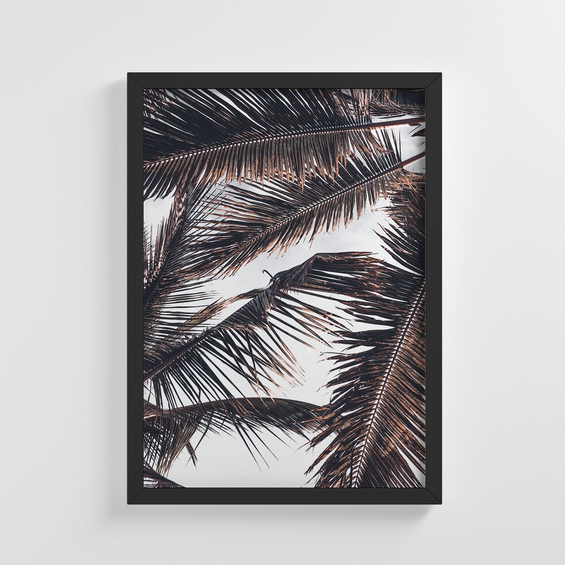 Tropical Palm Tree Leaves, Stylish Home Decoration