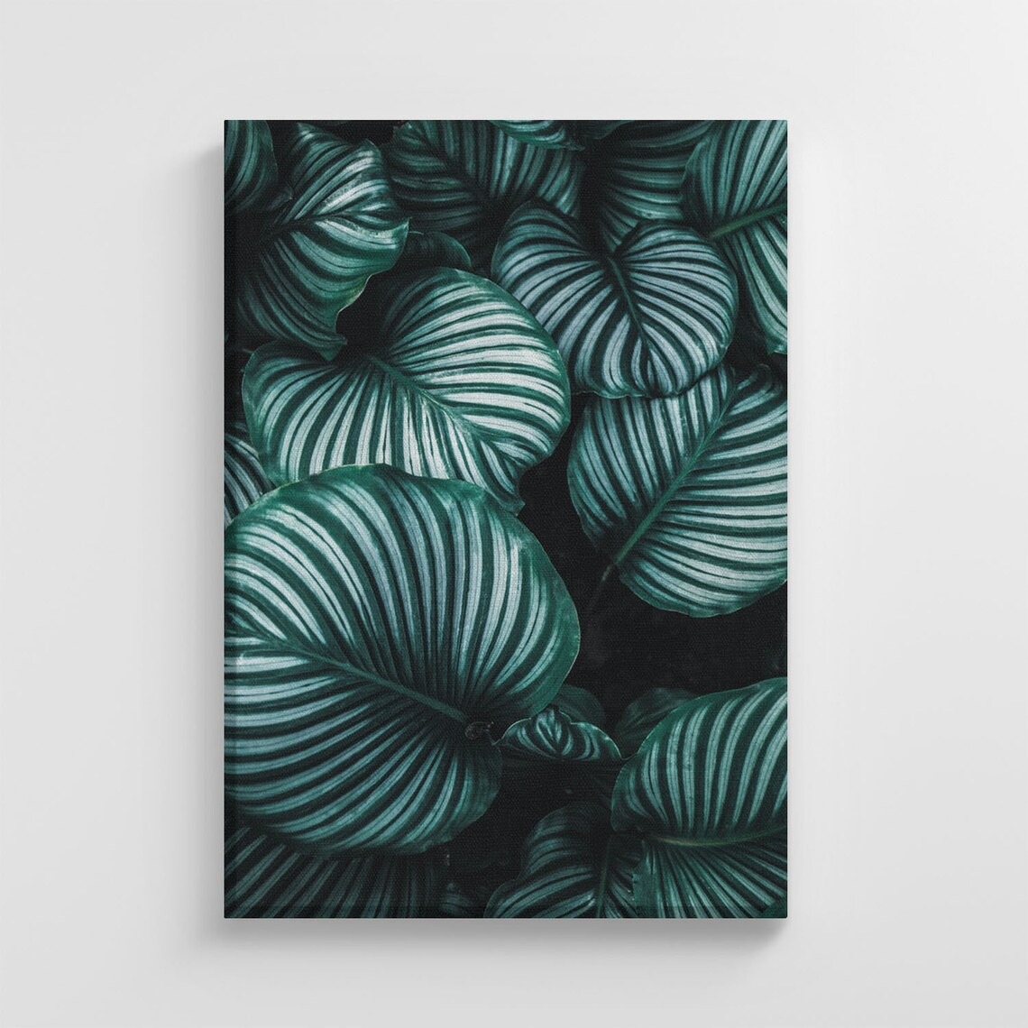 Tropical Leaf Photo, Nature Nursery Decor