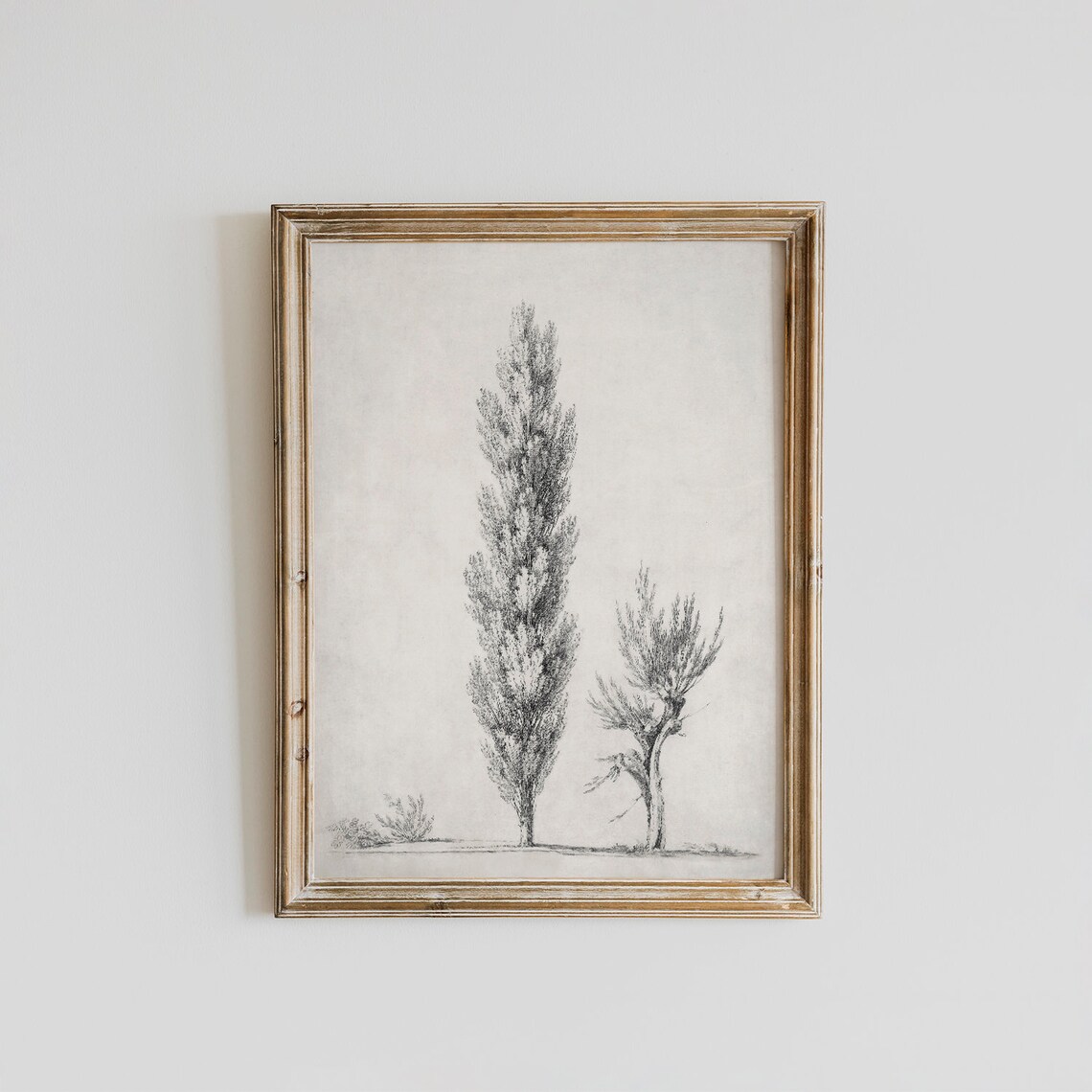 Antique Rustic Tree Sketch, Vintage Landscape Art Print - Image 3