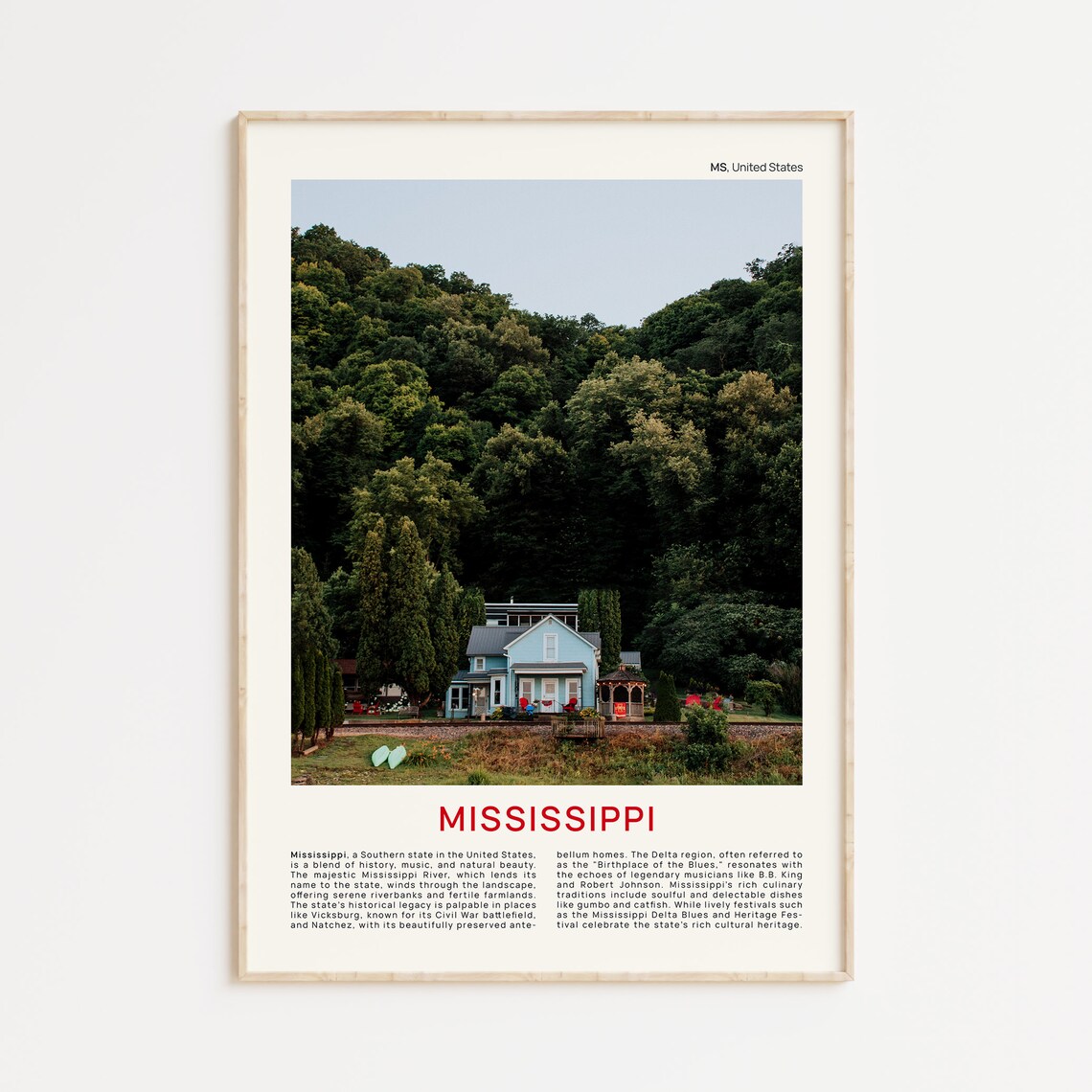 Mississippi Southern Home in Forest Film Photography Travel Poster