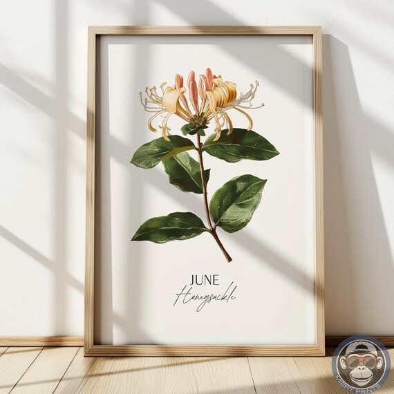 Honeysuckle Print June Birth Flower Botanical Art