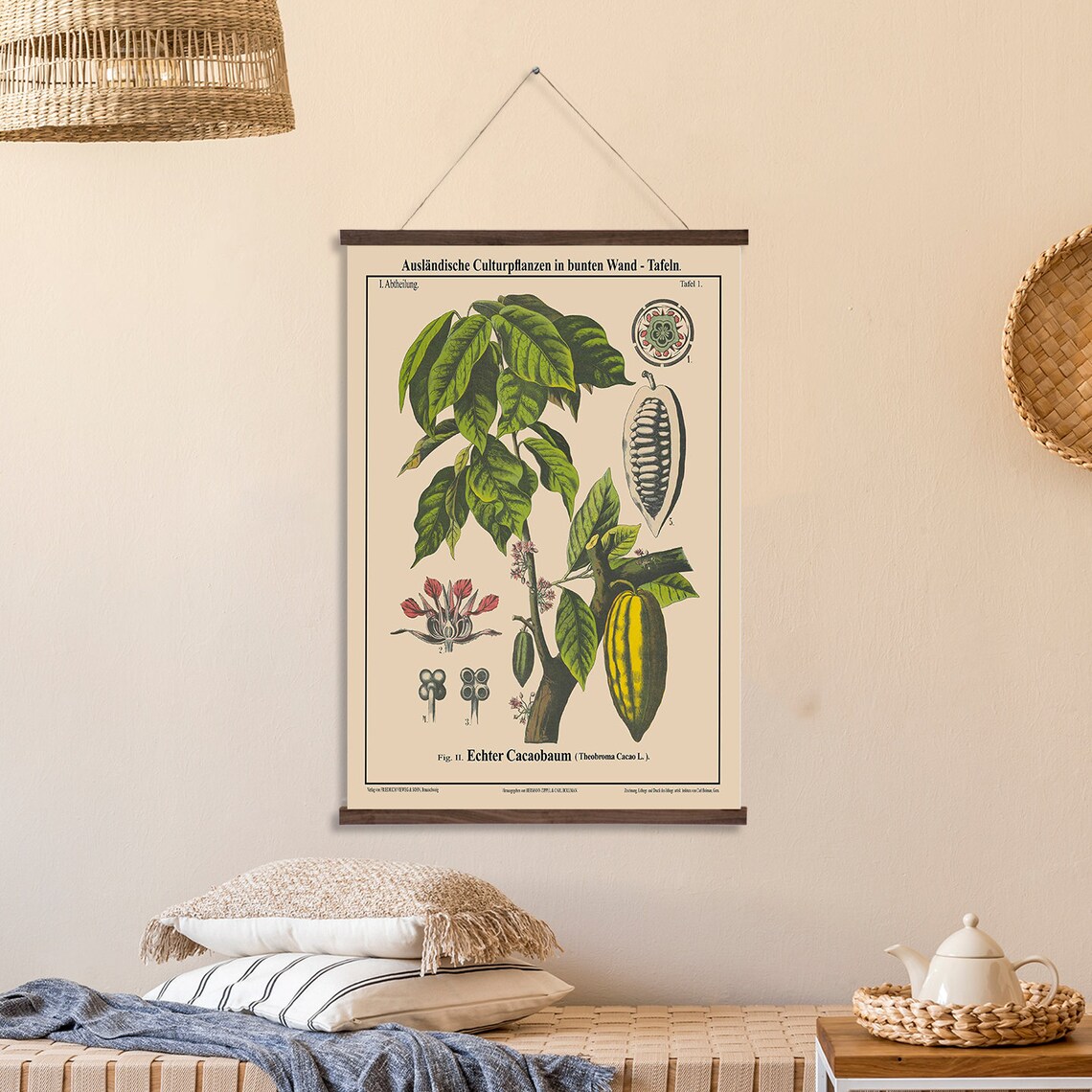Botanical Cacao Tree, Herb Illustration Art Print