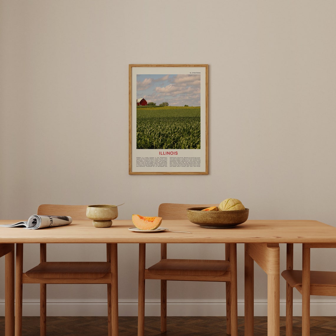 Illinois Print Film Photo Illinois Wall Art Illinois Poster Illinois Photo Illinois Poster Print Illinois Wall Decor Usa Poster Print - Image 4