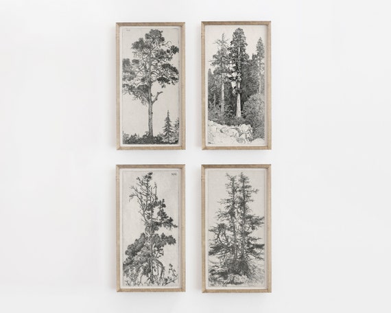 Vintage Tree Sketch Art Print, Botanical Drawing