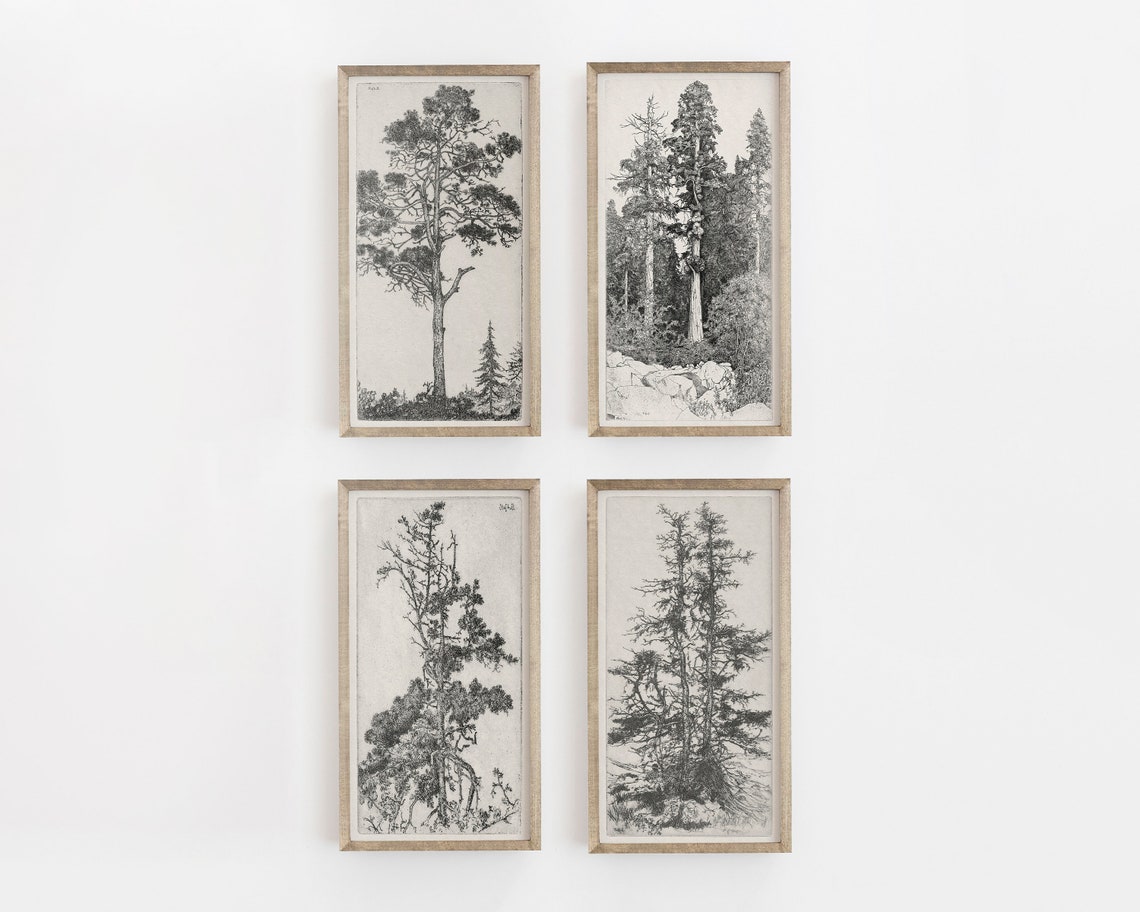 Vintage Tree Sketch Art Print, Botanical Drawing