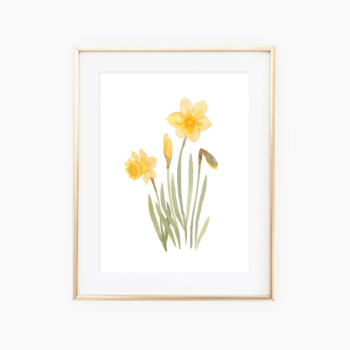 Watercolor Daffodils Art Print