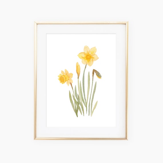 Watercolor Daffodils Art Print
