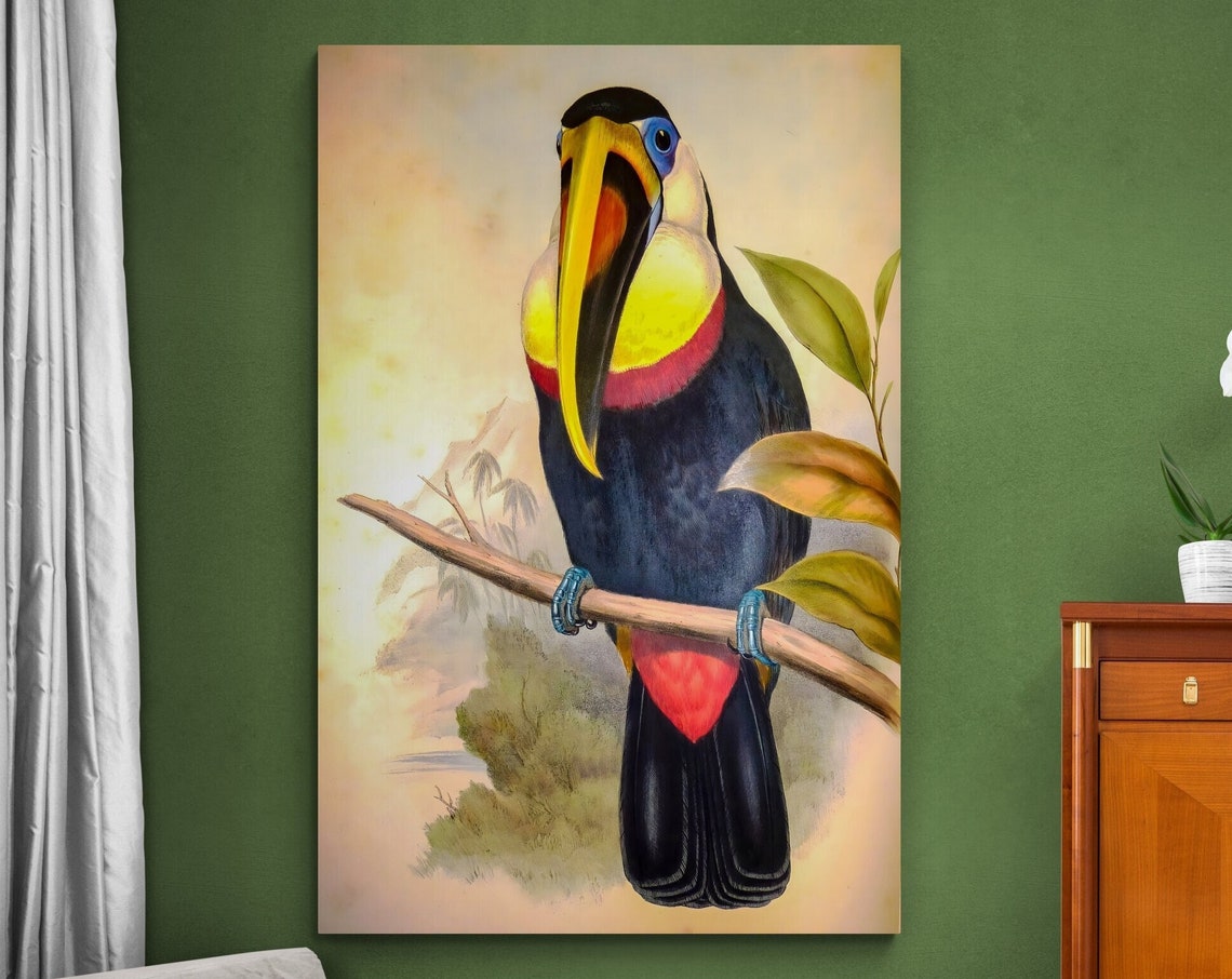 Toco Toucan Vintage Naturalist Bird Illustration Tropical Wall Poster - Image 3