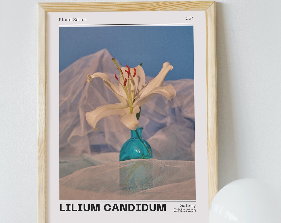 Lilium Candidum White Lily Art Print, Floral