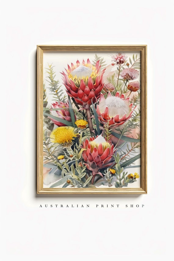 Australian Native Floral Art Print, Waratah Banksia Wattle