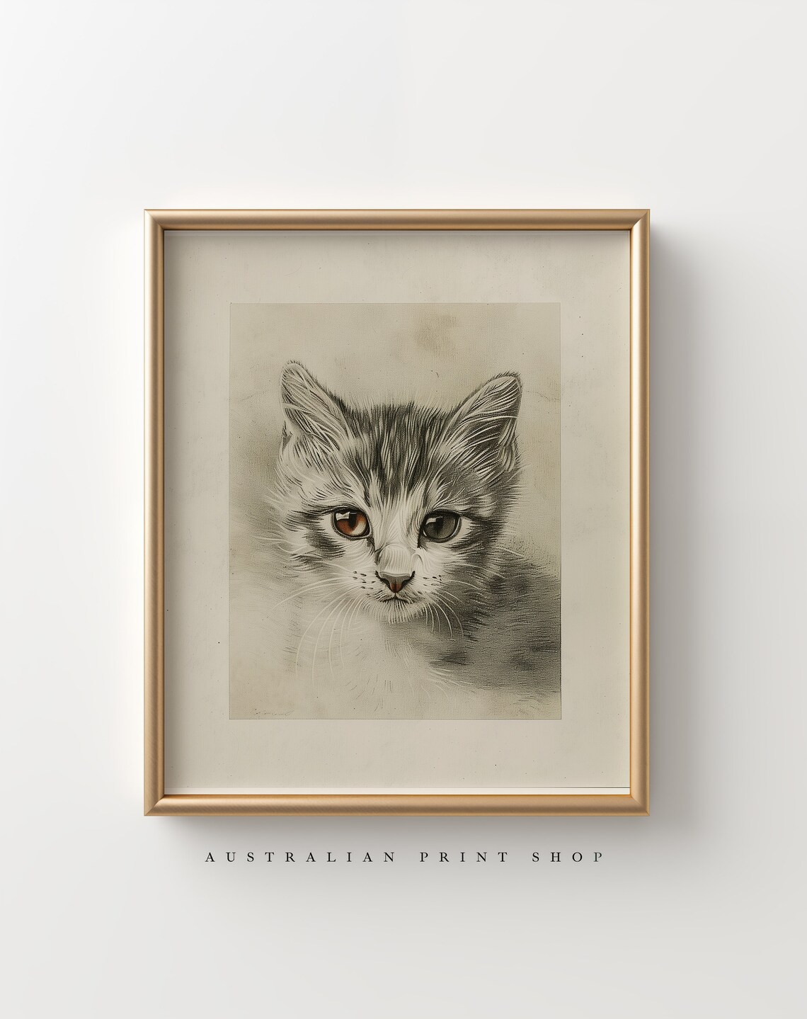 Wide Eyed Kitten Pencil Study With Amber Eyes Vintage Animal Wall Art - Image 6
