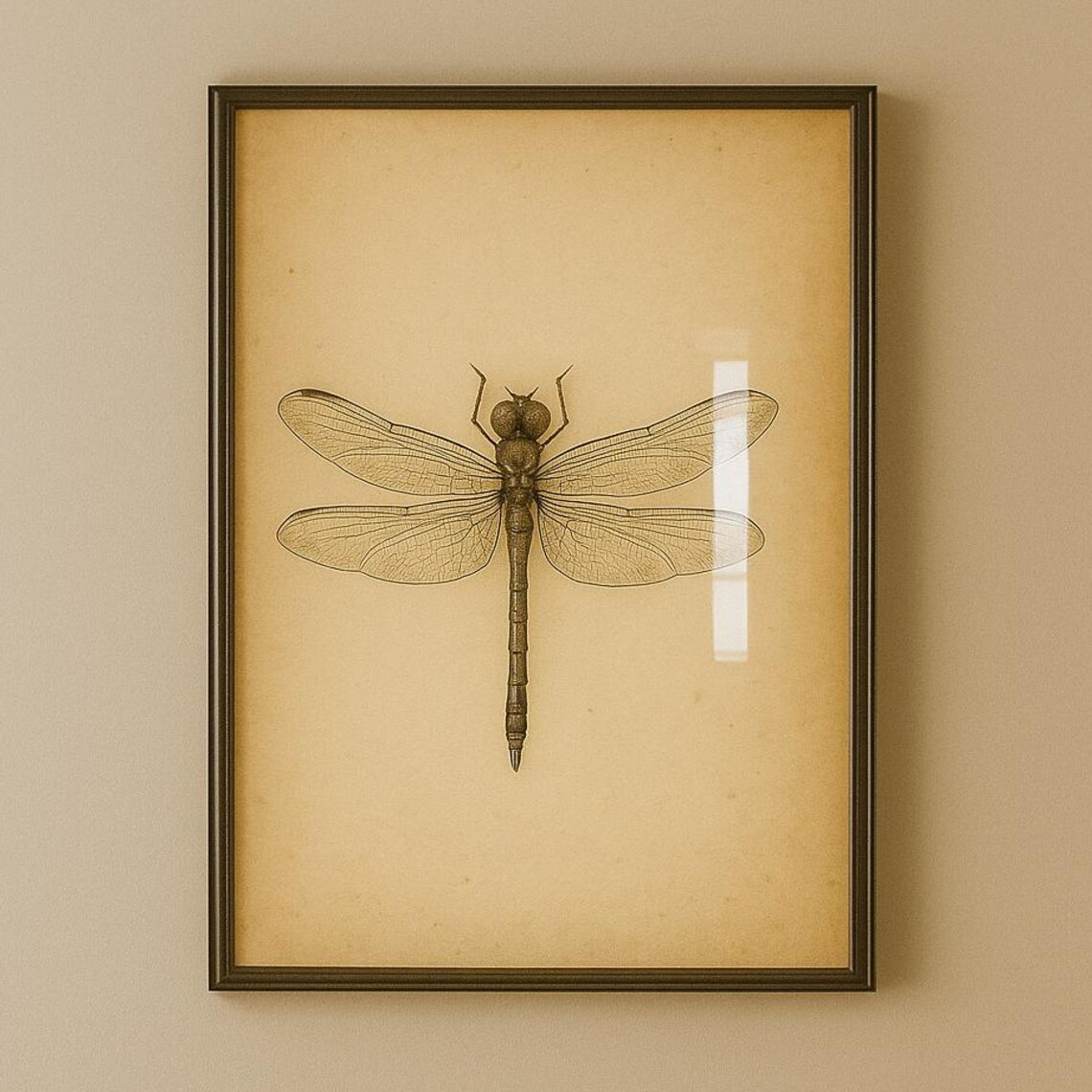 Vintage Dragonfly Illustration Print Botanical Insect Wall Art