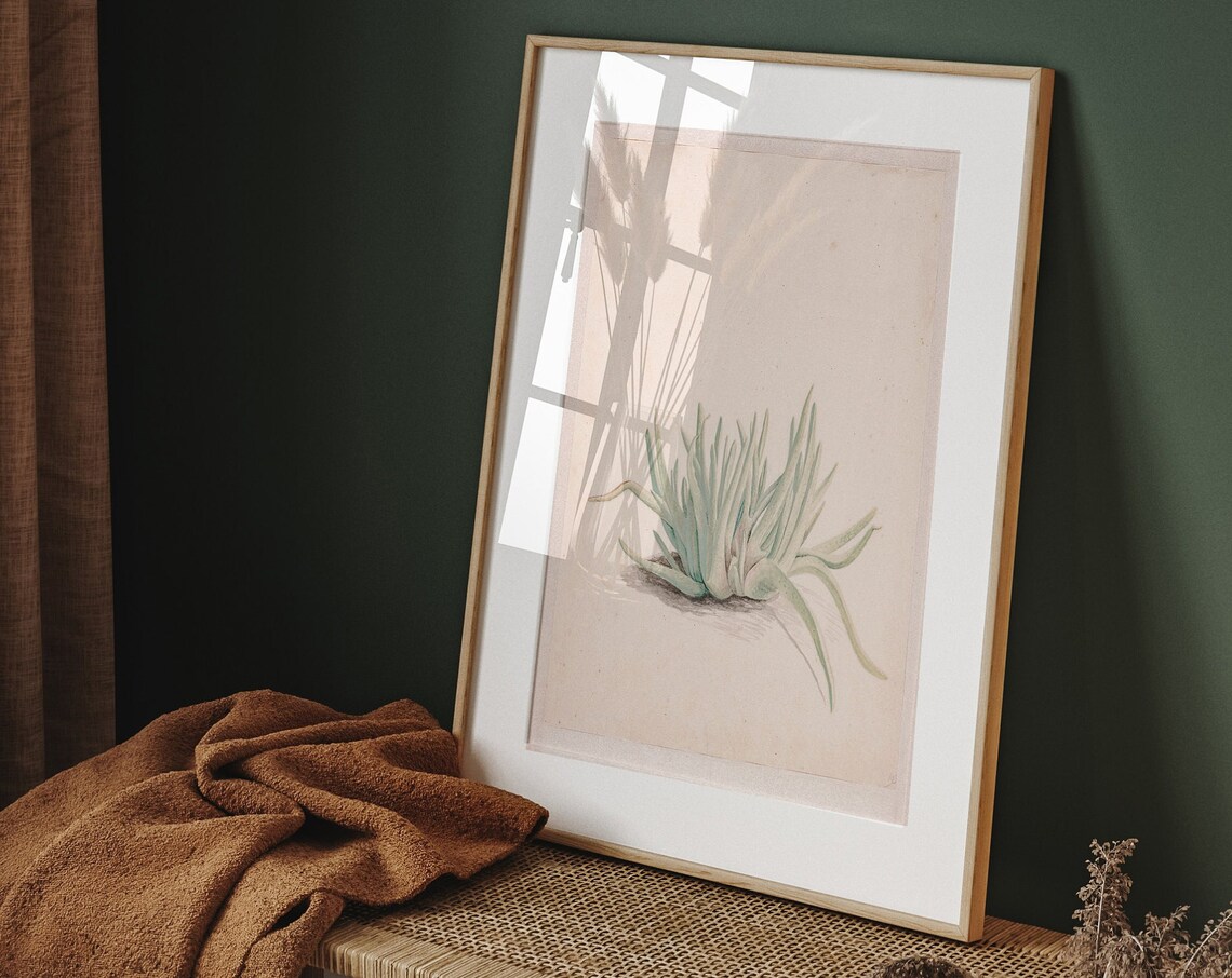 Antique Aloe Botanical Sketch Warm Neutral Minimalist Art Poster