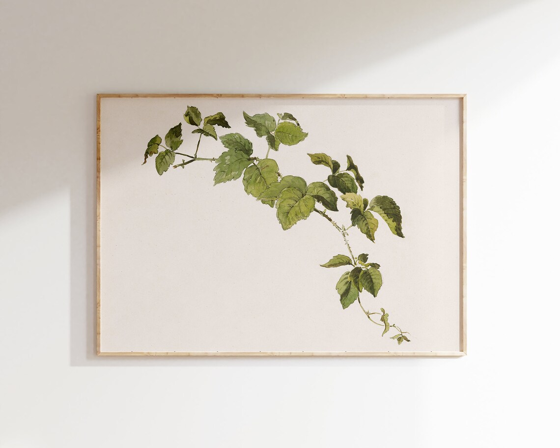 Vintage Ivy Botanical Art Print, Cottagecore Decor - Image 2
