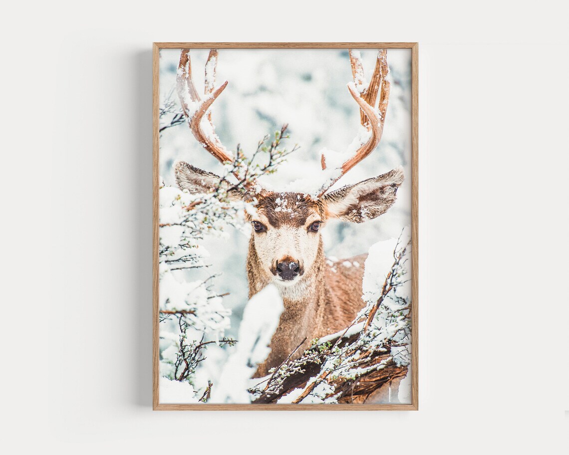 Majestic Stag in Snowy Winter Forest Close-Up Wildlife Art Poster - Image 4