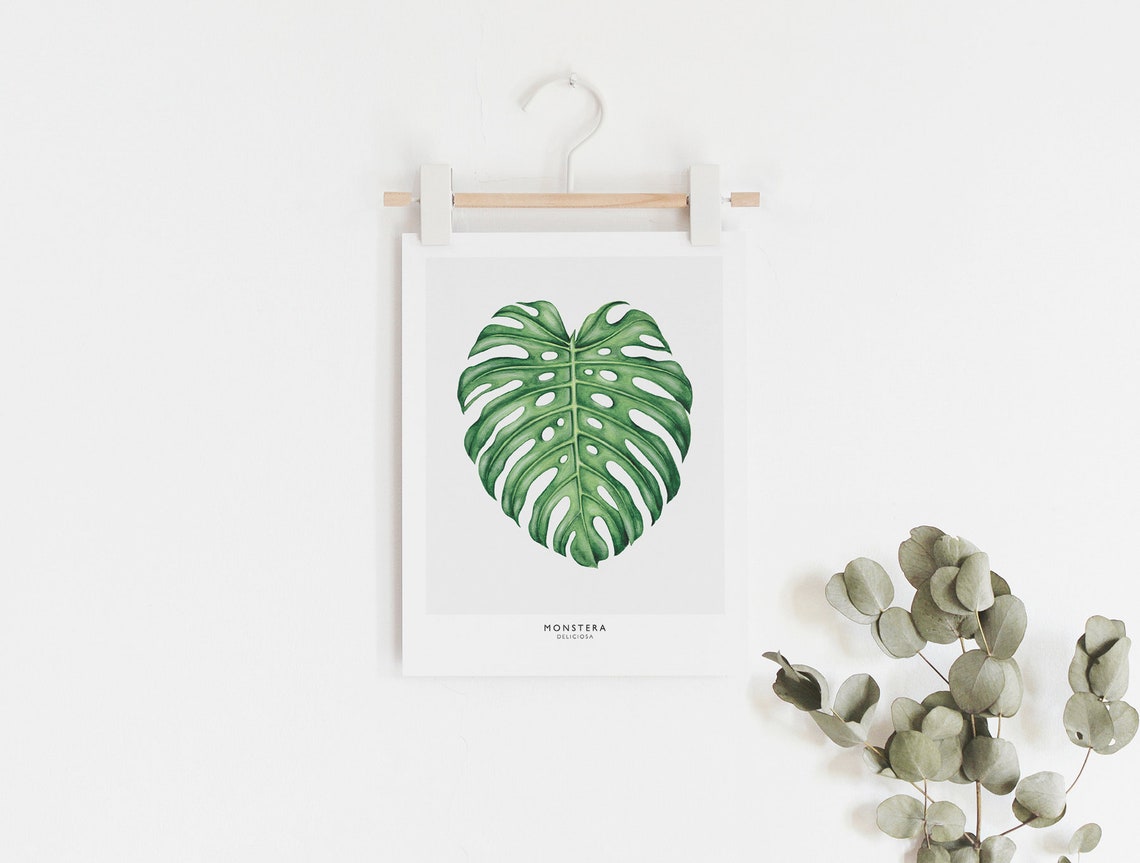 Monstera Tropical Leaf Art Print - Image 3